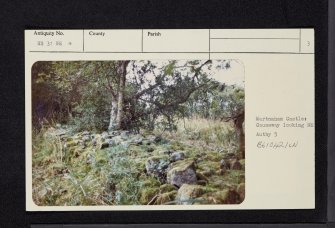 'Martnaham Castle', NS31NE 4, Ordnance Survey index card, page number 3, Recto