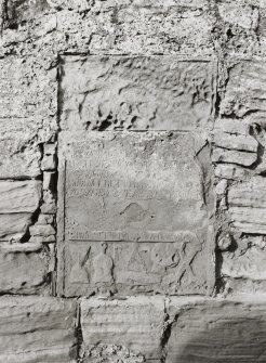 Fearn Abbey.  South East aisle, detail of carved panel on South wall.