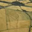 Oblique aerial view centred on the linear cropmarks, taken from the E.