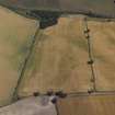 Oblique aerial view centred on the cropmarks of the fort and the settlement, taken from the SW.