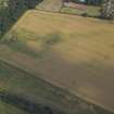 Oblique aerial view centred on the cropmarks of the settlement and the cursus, taken from the NW.