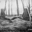 View of recumbent stone circle from S. 
Titled: "Sin Hinny. Recumbent Stone and Flankers".