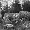 Photograph of recumbent stone circle at Aikey Brae, taken from N.
Titled: "Aikey Brae. Recumbent Stone and Flankers".