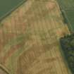 Oblique aerial view of the cropmarks of the rig and furrow and possible souterrain at Woodhill, taken from the WSW.