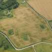 Oblique aerial view of the cropmarks of the enclosure and timber hall at Monboddo, taken from the N.