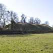 General view of castle mound from NE