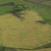 Oblique aerial view of the cropmarks of the fort and pit alignment on Whitelaw Hill, taken from the S.
