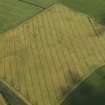 Oblique aerial view of the cropmarks of the fort and pit alignment on Whitelaw Hill, taken from the ESE.