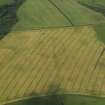 Oblique aerial view of the cropmarks of the fort and pit alignment on Whitelaw Hill, taken from the E.