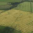 Oblique aerial view of the cropmarks of the fort and pit alignment on Whitelaw Hill, taken from the ENE.