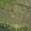 Oblique aerial view of the cropmarks of the settlement, taken from the S.