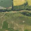 Oblique aerial view of the cropmarks of the settlement, taken from the NNW.