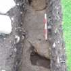 Trench 14, south trial trench from W showing excavated features F14.11 and F14.10 (scale = 0.5m)