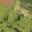Oblique aerial view of Timpendean Tower and adjacent earthworks, taken from the NE.