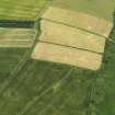 Oblique aerial view of the cropmarks of the settlement, taken from the NNE.