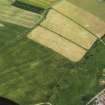 Oblique aerial view of the cropmarks of the settlement, taken from the N.