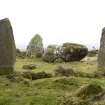 Recumbent, flanker and ring stones, view from NW