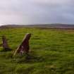 General view of the St Ninian standing stones, taken from the N, 