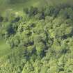 Oblique aerial view of Yester Castle and Goblin Ha', taken from the E.