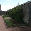 Photograph from watching brief, Aberdour Castle Walled Garden
