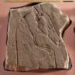 Ardross 2. View of Pictish symbol stone fragment (flash), including scale