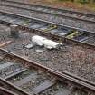 Modern signalling equipment trackside.