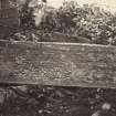View of detail of grave slab from Oronsay Church Priory at Oronsay, Argyll.
Titled: '50. At Oronsay.'
PHOTOGRAPH ALBUM, NO 186: J B MACKENZIE ALBUMS vol.1