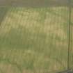 Oblique aerial view of the cropmarks of the settlement enclosure and the possible round house, looking NNW.