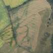 Oblique aerial view of the cropmarks of the forts on Doon Hill, looking SW.