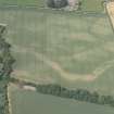 Oblique aerial view of the cropmarks of the cursus, enclosure and linear features at Preston Mains, looking N.