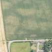 Oblique aerial view of the cropmarks of the cursus and other features at Preston Mains, looking S.