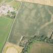 Oblique aerial view of the cropmarks of the cursus and other features at Preston Mains, looking NE.