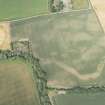Oblique aerial view of the cropmarks of the cursus and other features at Preston Mains, looking N.