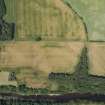 Oblique aerial view of Innerpeffray Castle and the cropmarks to its N and NE, looking N.