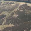 Oblique aerial view of the site of enclosure, pillboxes and trenches, looking SSW.