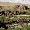 North Rona, township group A, Manse, Church and graveyard. 10 May 2005.