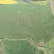 Oblique aerial view of the cropmarks of the fort and field boundaries, looking SE.