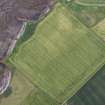 Oblique aerial view of the cropmarks of the enclosure and the site of Seacliff Tower, looking ESE.