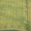 Oblique aerial view of the cropmarks of the settlement, looking SE.
