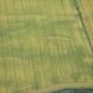 Oblique aerial view of the cropmarks of the settlement, looking SSE.
