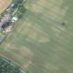 Oblique aerial view of the cropmarks of the field boundary, looking SSE.