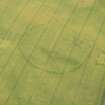 Oblique aerial view of the cropmarks of the fort and pit-defined boundary, looking ENE.