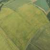 Oblique aerial view of the cropmarks of the fort and pit-defined boundary, looking E.