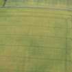 Oblique aerial view of the cropmarks of the pit-defined boundary, looking ENE.