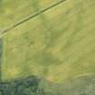 Oblique aerial view of the cropmarks of the pits and enclosure, looking NW.