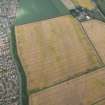 Oblique aerial view of the cropmarks of the settlement, looking E.