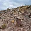 Outside wall spread on the north side of the site, Comar Wood Dun, Cannich, Strathglass