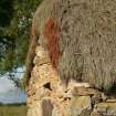 Detail of thatching at gable end; Old Leanach Farmhouse, Culloden Moor.