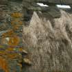 Detail of roof with remaining damaged thatch; Baile, Berneray.