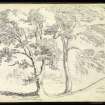Drawing of trees with Linlithgow in background inscribed 'at Linlithgow 13 Sept 1838'.
